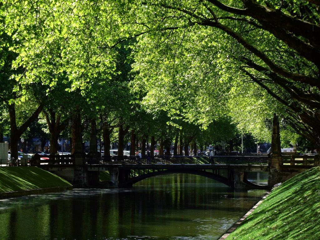 Escort Dusseldorf - Old Town, Canal with Trees Escort Dusseldorf - Old Town, Canal with Trees